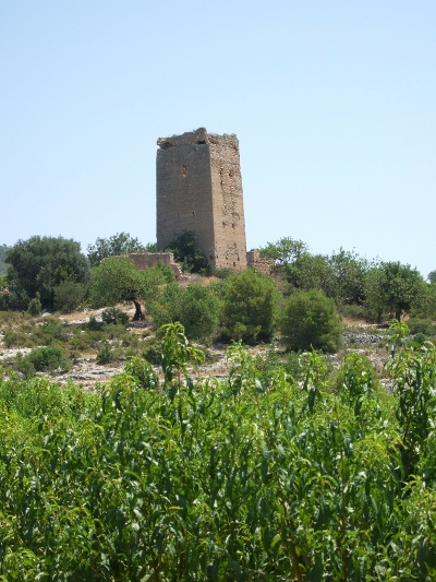 Torre Alédua