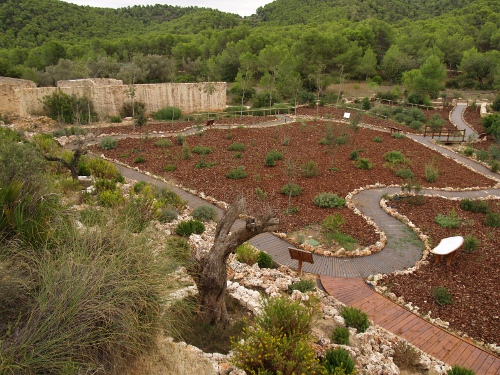 Vista general Arboreto