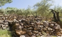 Muros de piedra en seco